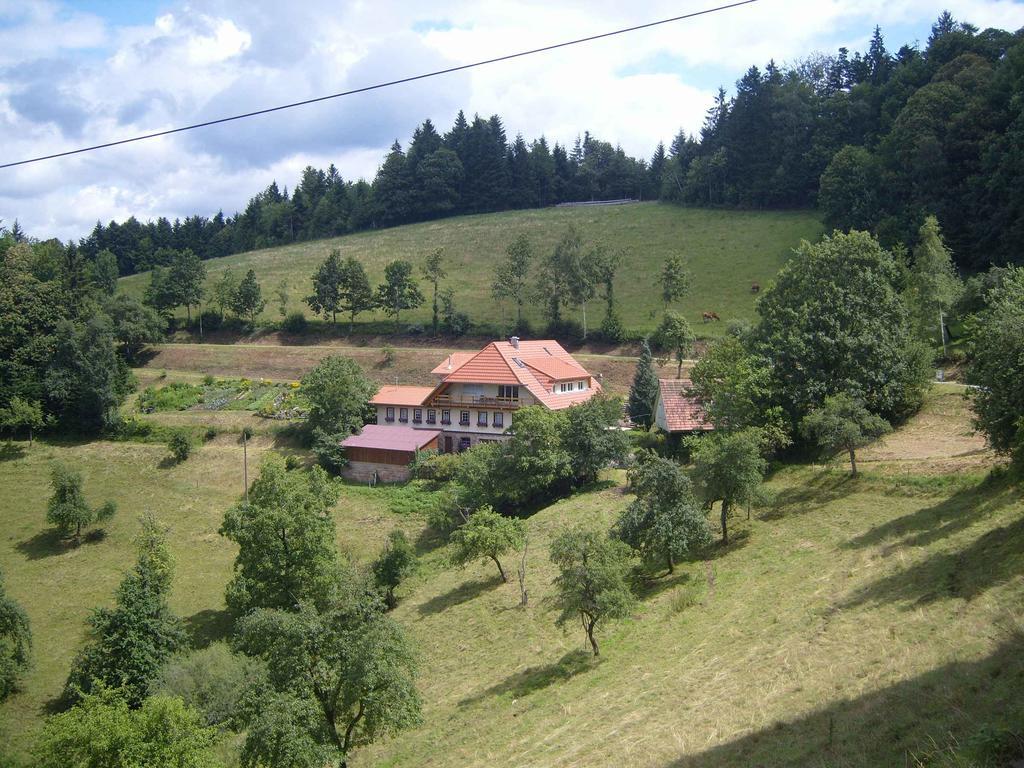 Апартаменты Langenberghof Оберхармерсбах Экстерьер фото