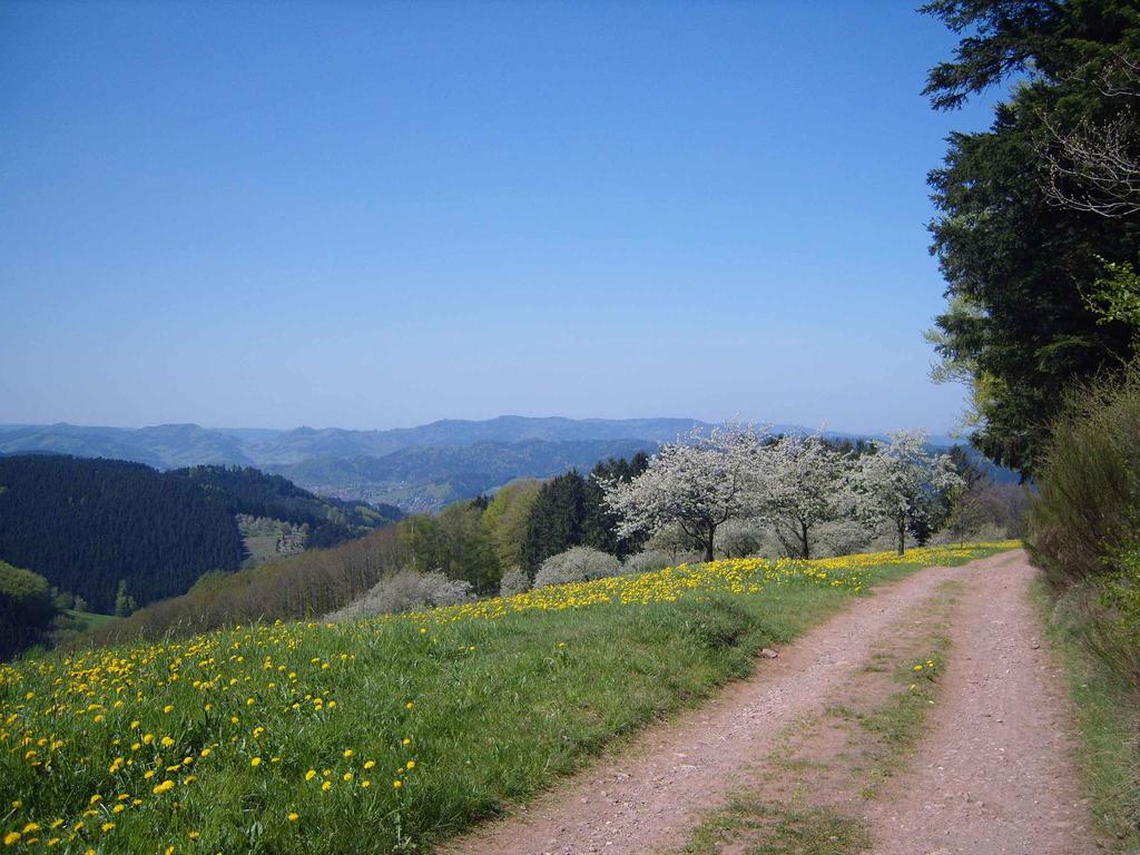 Апартаменты Langenberghof Оберхармерсбах Экстерьер фото