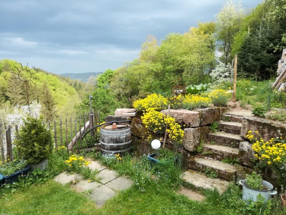 Апартаменты Langenberghof Оберхармерсбах Экстерьер фото