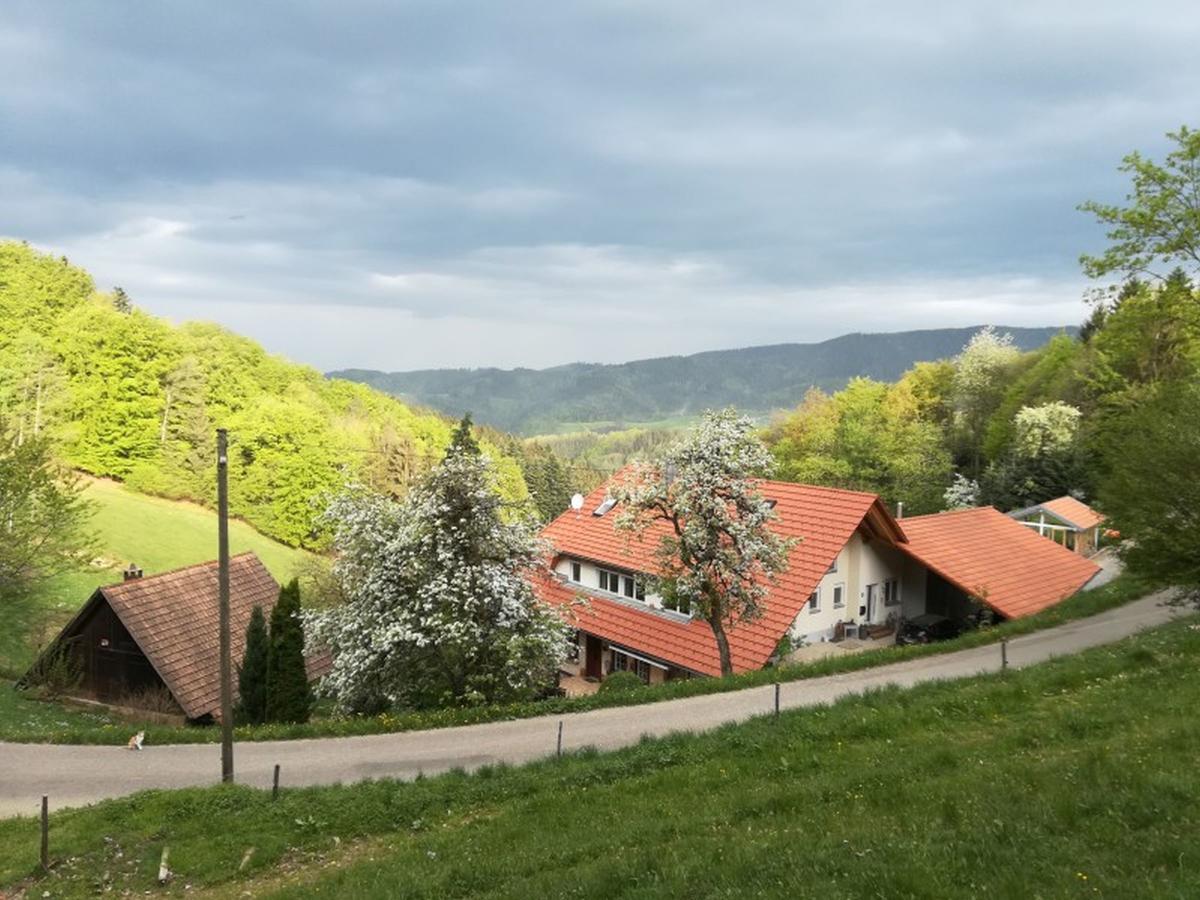 Апартаменты Langenberghof Оберхармерсбах Экстерьер фото