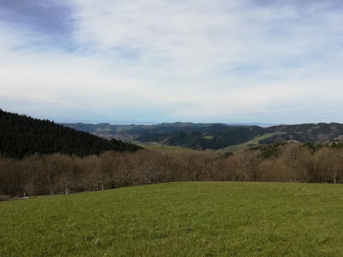 Апартаменты Langenberghof Оберхармерсбах Экстерьер фото