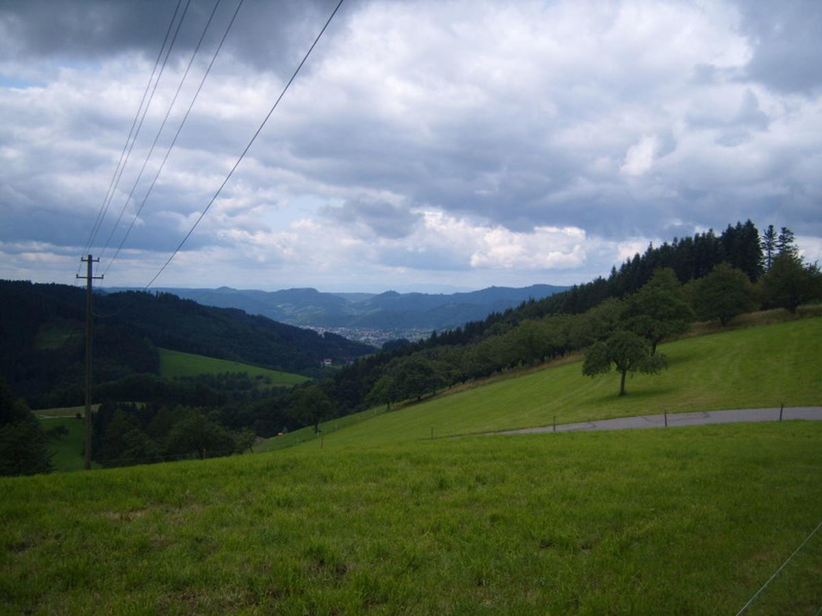 Апартаменты Langenberghof Оберхармерсбах Экстерьер фото